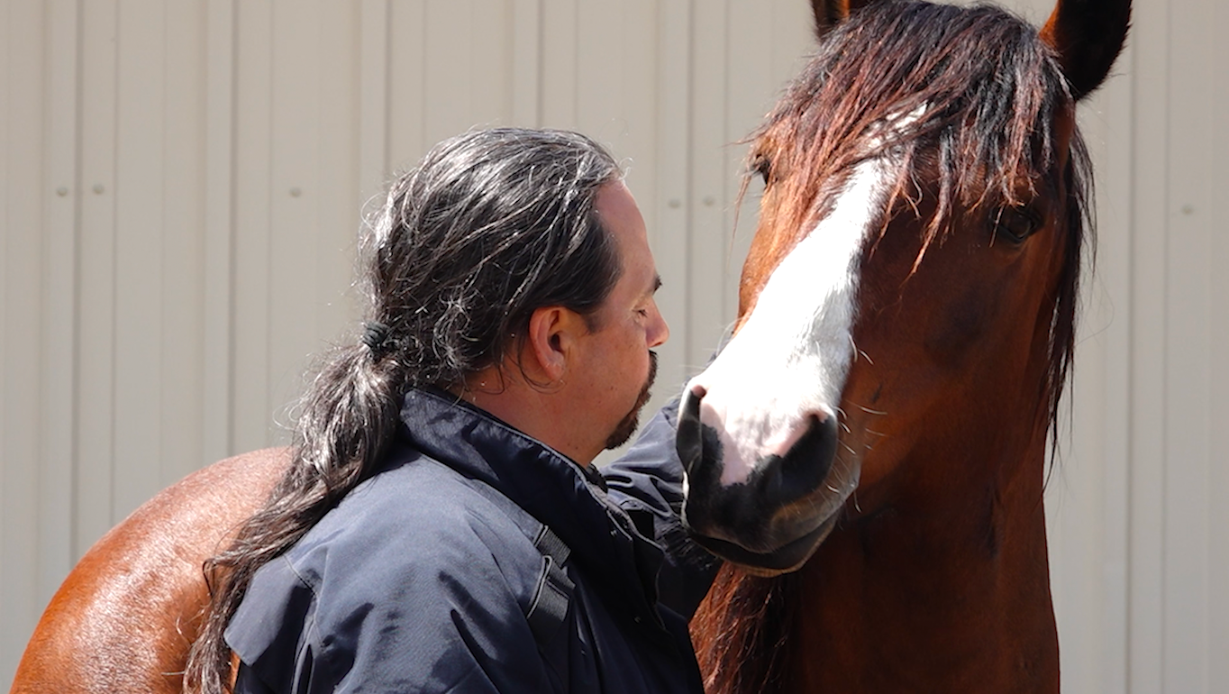 Memorial Day: Wild mustangs help veterans heal through Wyoming ranch program